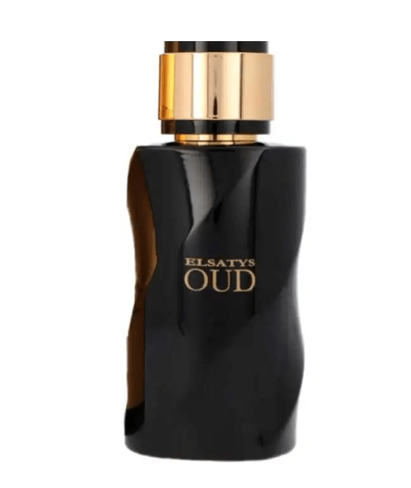 Reyane Tradition Gentle Elsatys Oud Men EDP 100ml Spray Cheap