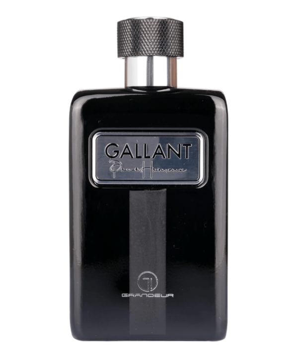 Grandeur Elite Gallant Men EDP 100ml Hot on Sale