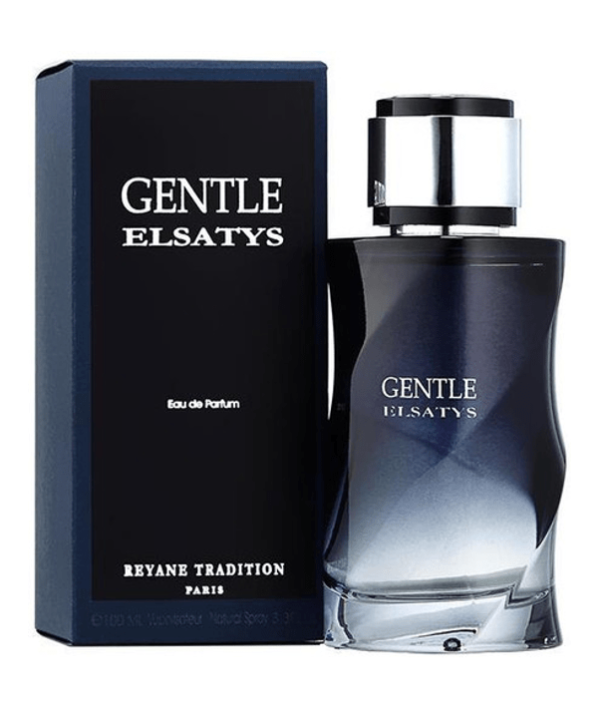 Reyane Tradition Gentle Elsatys Men EDP 100ml Spray on Sale