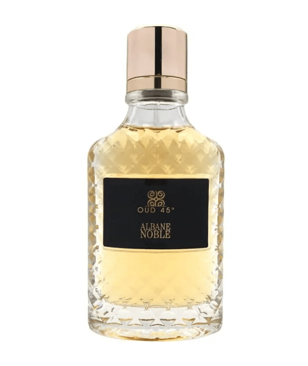 Albane Noble Oud 45 Men EDP 100ml Spray Discount