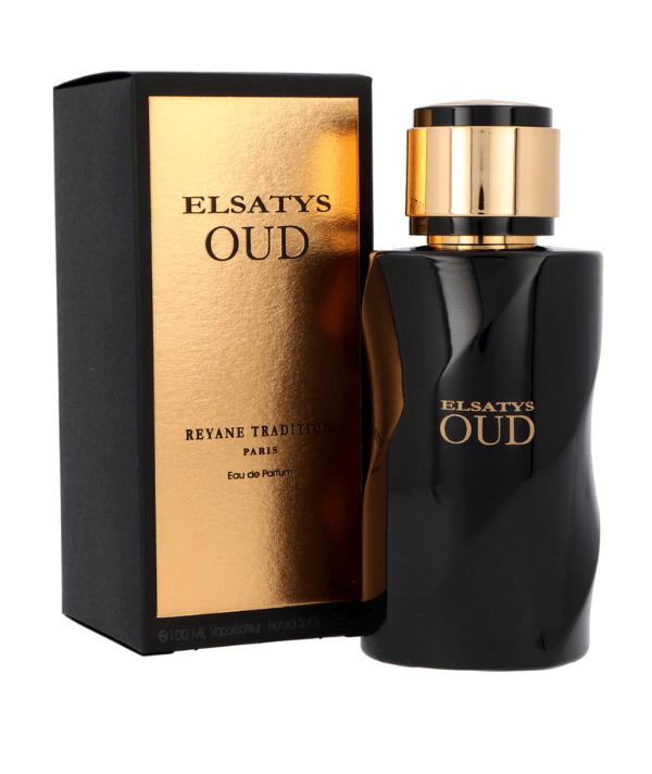 Reyane Tradition Gentle Elsatys Oud Men EDP 100ml Spray Cheap