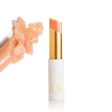 Luk Beautifood Lip Nourish Lipstick 3g Online