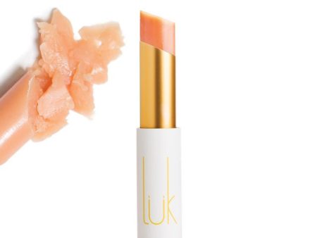 Luk Beautifood Lip Nourish Lipstick 3g Online