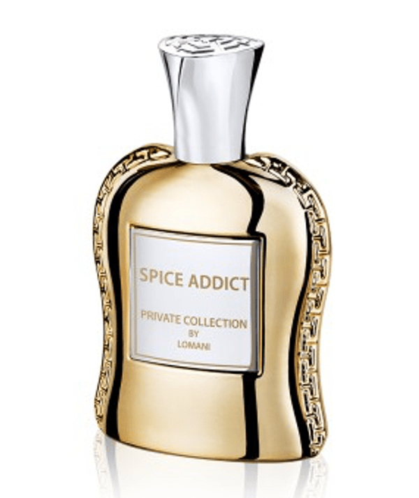 Private Collection By Lomani Spice Addict EDP 100ml Spray Cheap