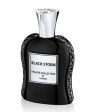 Private Collection By Lomani Black Storm EDP 100ml Spray Online Hot Sale